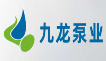 湖南九龙泵业有限公司