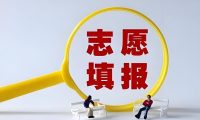 2025高考分数出来后，高考志愿填报全攻略