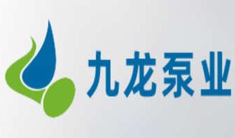 湖南九龙泵业有限公司
