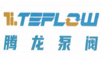 安徽腾龙泵阀有限公司