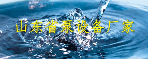 山东省泵设备厂家